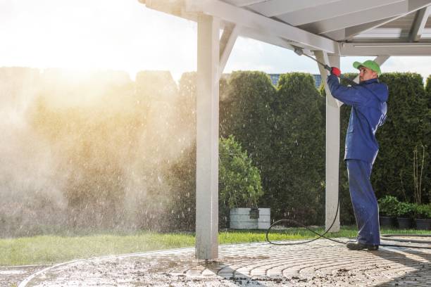 Best Soft Washing for Delicate Surfaces in Pacific, MO